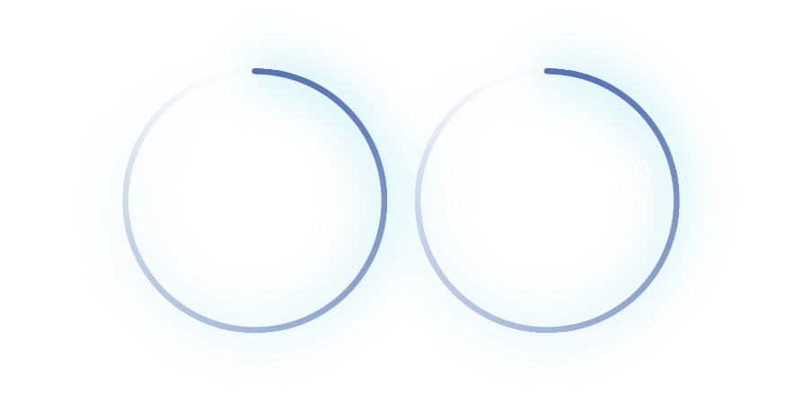 Устройство печатающее защищенное УПЗ
